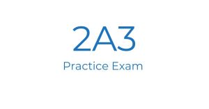 2A3 Practice Exam